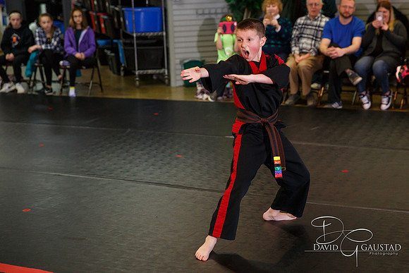 Midwest Professional Karate (MPK) 2018