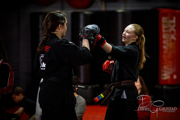 Midwest Professional Karate (MPK) 2018