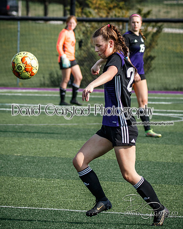 DeForest Girl's Soccer vs Waunakee