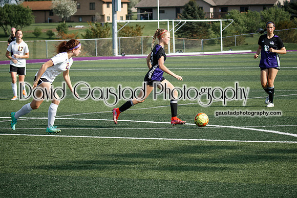 DeForest Girl's Soccer vs Waunakee