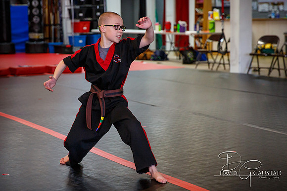Midwest Professional Karate (MPK) 2018