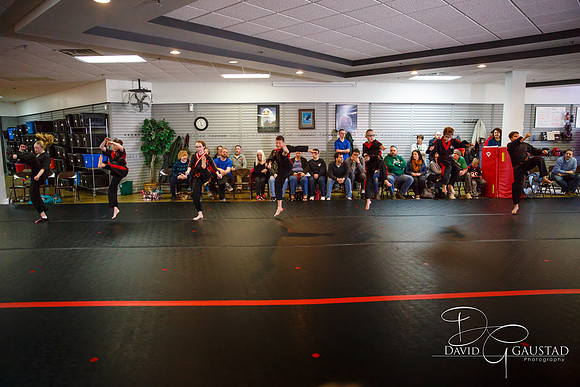 Midwest Professional Karate (MPK) 2018