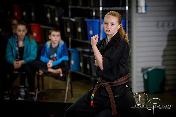 Midwest Professional Karate (MPK) 2018