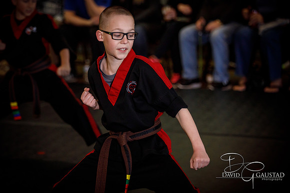 Midwest Professional Karate (MPK) 2018