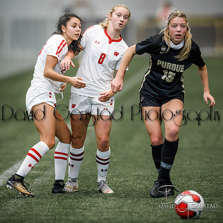 Wisconsin Badgers Women's Soccer vs Purdue