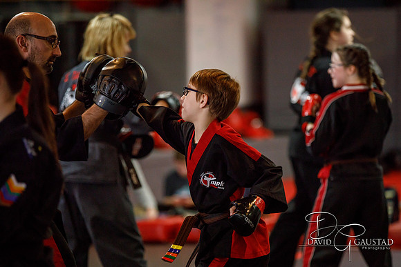 Midwest Professional Karate (MPK) 2018