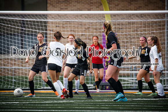 DeForest Area High School Girl's Soccer vs Sauk Prairie