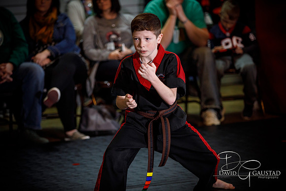 Midwest Professional Karate (MPK) 2018