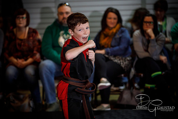 Midwest Professional Karate (MPK) 2018