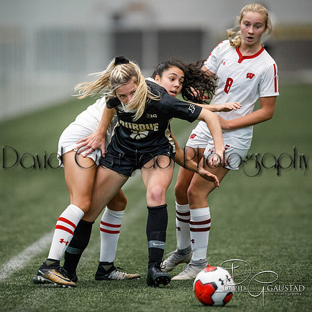 Wisconsin Badgers Women's Soccer vs Purdue
