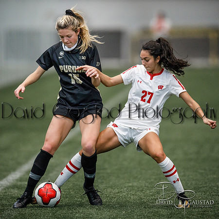 Wisconsin Badgers Women's Soccer vs Purdue