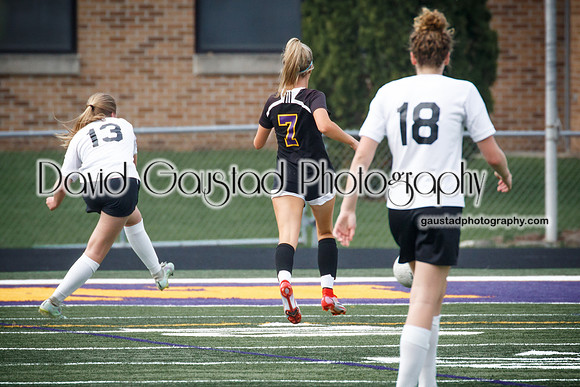 DeForest Area High School Girl's Soccer vs Sauk Prairie