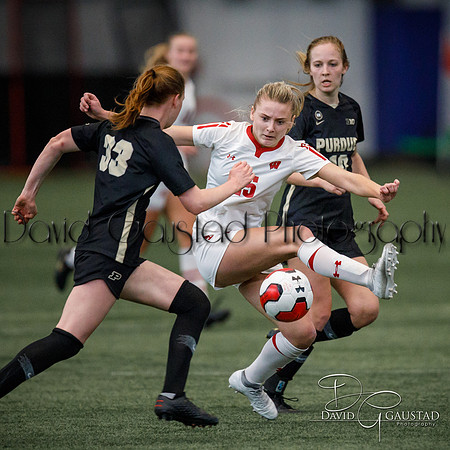 Wisconsin Badgers Women's Soccer vs Purdue