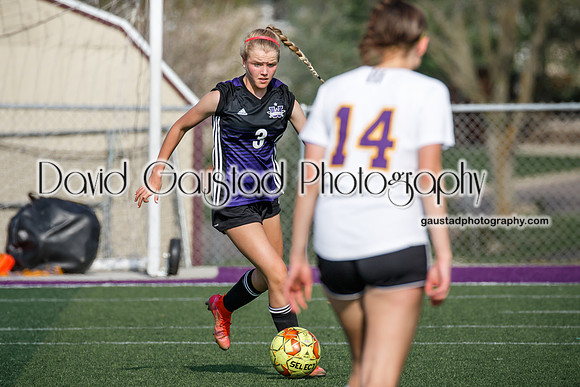 DeForest Girl's Soccer vs Waunakee
