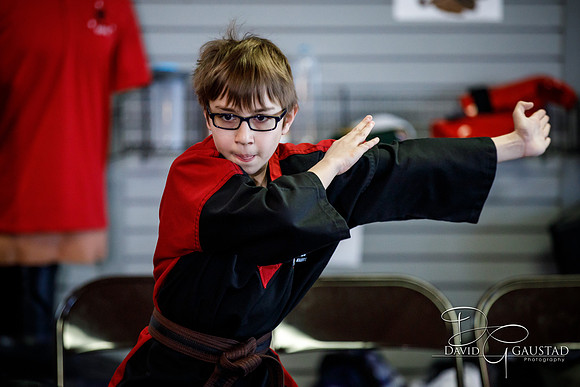 Midwest Professional Karate (MPK) 2018