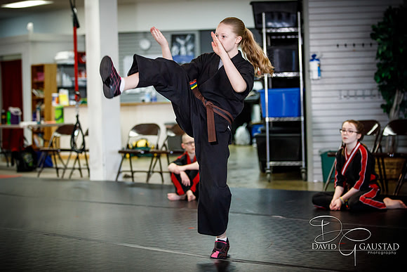 Midwest Professional Karate (MPK) 2018