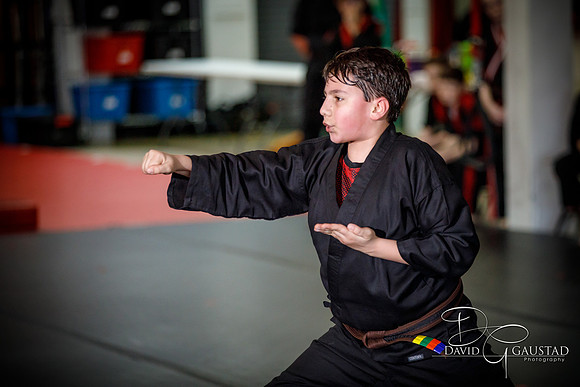 Midwest Professional Karate (MPK) 2018