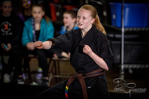 Midwest Professional Karate (MPK) 2018
