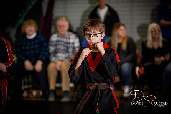 Midwest Professional Karate (MPK) 2018