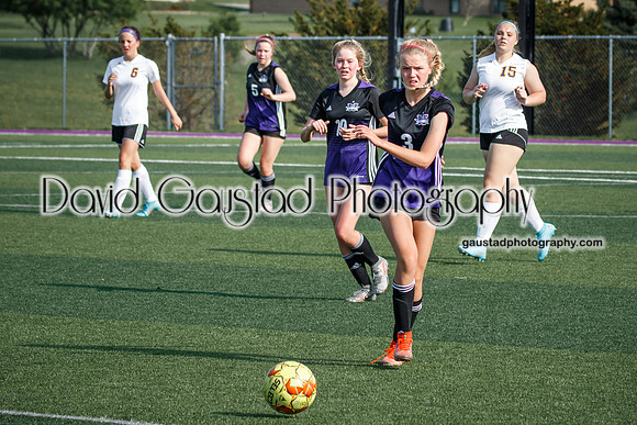 DeForest Girl's Soccer vs Waunakee