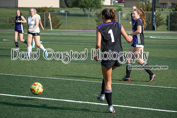 DeForest Girl's Soccer vs Waunakee
