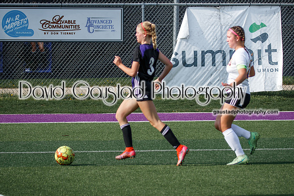 DeForest Girl's Soccer vs Waunakee