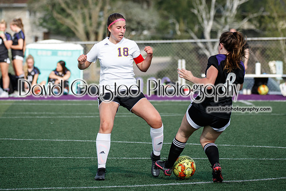 DeForest Girl's Soccer vs Waunakee