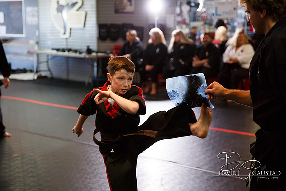 Midwest Professional Karate (MPK) 2018