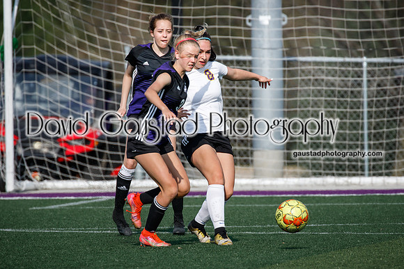 DeForest Girl's Soccer vs Waunakee