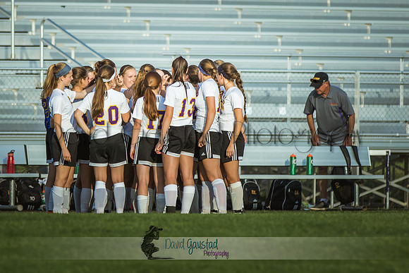 DeForest varsity girls soccer vs Lodi 5/24/2016