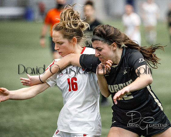 Wisconsin Badgers Women's Soccer vs Purdue