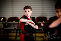 Midwest Professional Karate (MPK) 2018