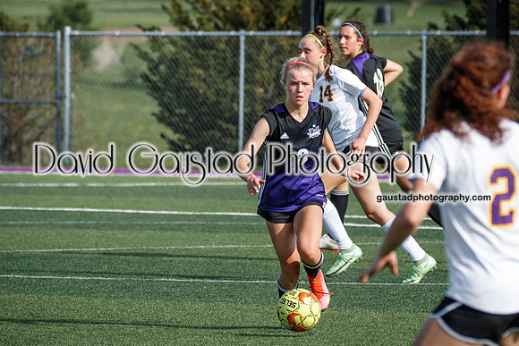DeForest Girl's Soccer vs Waunakee