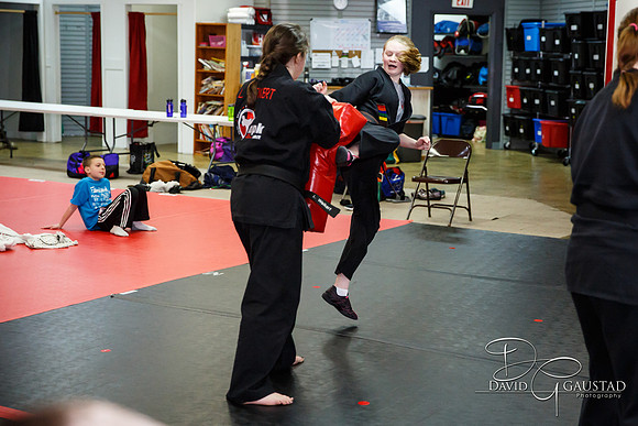 Midwest Professional Karate (MPK) 2018